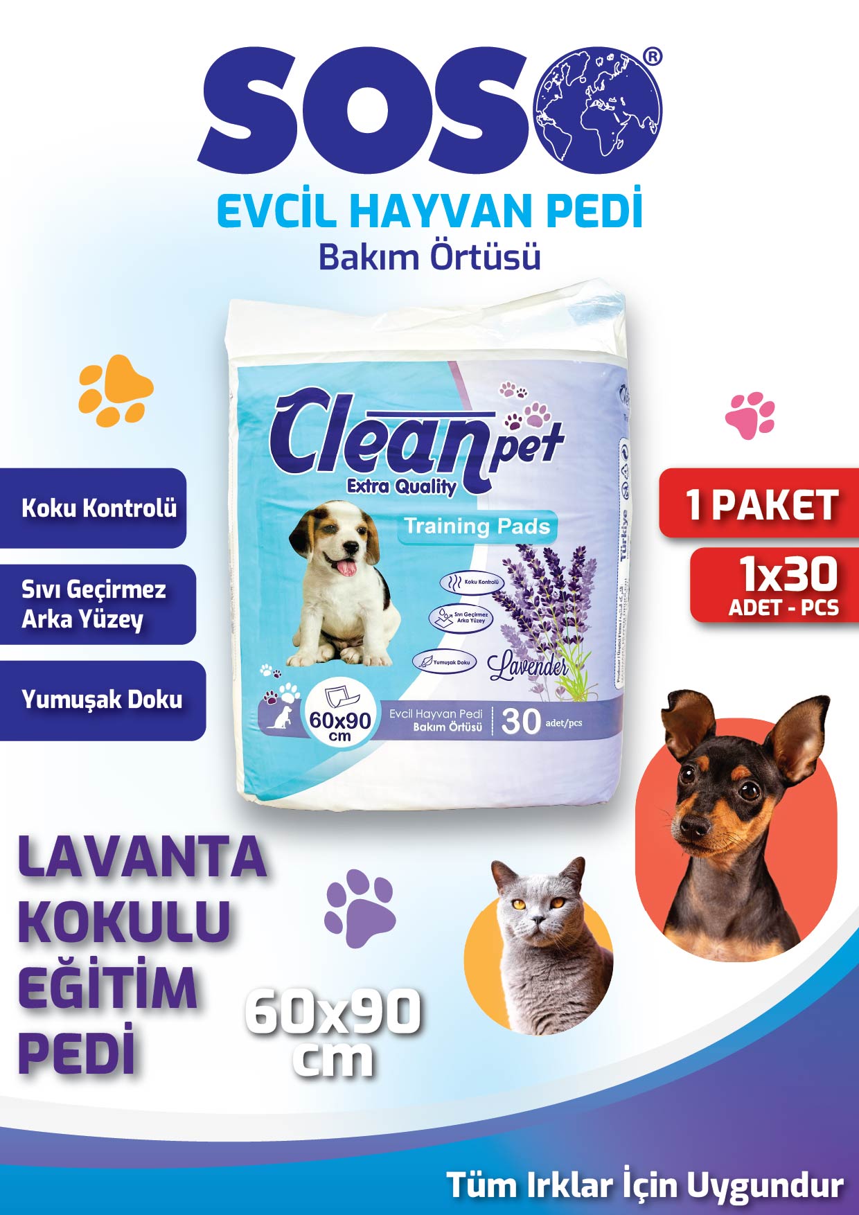 evcilhayvanpedi-2-01